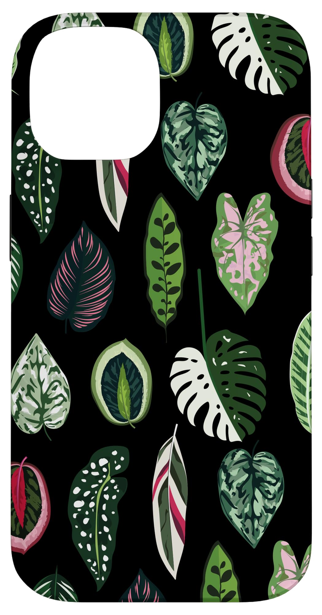 Calathea Varigatea Monstera Plant Leaf Black Case for iPhone 15 Pro Max